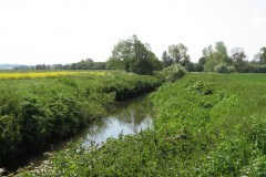 2.-Upstream-from-Ilford-Bridge-6
