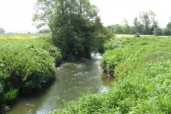 2.-Upstream-from-Ilford-Bridge-7