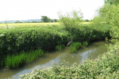 4.-Upstream-from-Selvinge-Farm-1