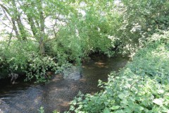 4.-Upstream-from-Selvinge-Farm-2