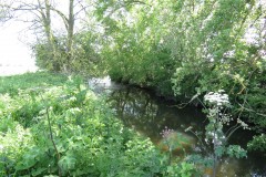 4.-Upstream-from-Selvinge-Farm-3