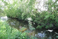 4.-Upstream-from-Selvinge-Farm-4