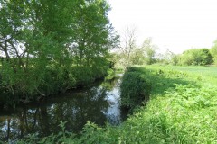 4.-Upstream-from-Selvinge-Farm-7