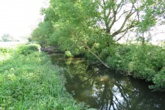4.-Upstream-from-Selvinge-Farm-8