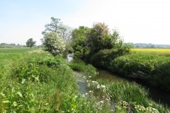 4.-Upstream-from-Selvinge-Farm-9