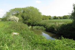 5.-Downstream-from-A303-3