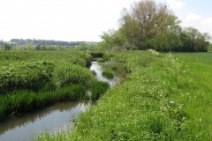 5.-Downstream-from-A303-4