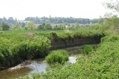 5.-Downstream-from-A303-6