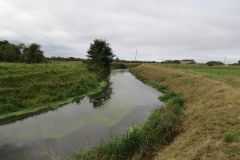 13.-Upstream-from-Pilhay-Farm-12