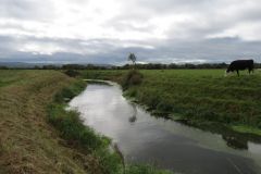 13.-Upstream-from-Pilhay-Farm-13