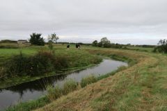 13.-Upstream-from-Pilhay-Farm-7