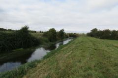 5.-Upstream-from-Pilhay-Bridge-2