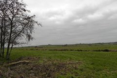 1.-Swans-flying-over-Kings-Sedgemoor