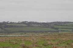 3.-Swans-flying-over-Kings-Sedgemoor