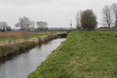 2.-Drain-on-Kings-Sedgemoor-West-of-Greylake-Bridge