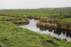 3.-Drain-on-Kings-Sedgemoor-West-of-Greylake-Bridge