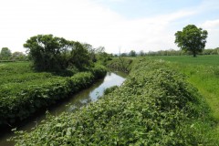 19.-Upstream-from-A303-2