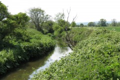 19.-Upstream-from-A303-3