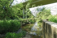 2.-River-Isle-flood-channel-beneath-Barrington-Main-Overbridge