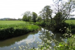 31.-Downstream-from-Wnterhay-Farm-1
