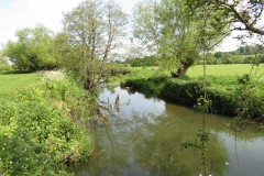 31.-Downstream-from-Wnterhay-Farm-2
