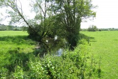 31.-Downstream-from-Wnterhay-Farm-3