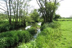 31.-Downstream-from-Wnterhay-Farm-5