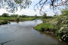 36.-Looking-upstream-from-ROW-Bridge-No.1824