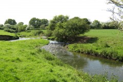 39.-Upstream-from-Winterhay-Farm-1