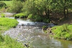 39.-Upstream-from-Winterhay-Farm-2