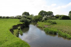 39.-Upstream-from-Winterhay-Farm-4