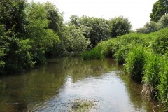 43.-Downstream-from-Taunton-to-Chard-Railway-Bridge-1