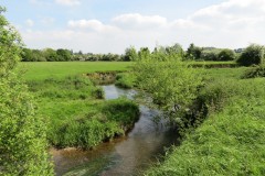 43.-Downstream-from-Taunton-to-Chard-Railway-Bridge-3