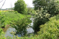 44.-Upstream-from-Hort-Bridge-1