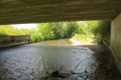 52.-Looking-downstream-beneath-Hort-Bridge