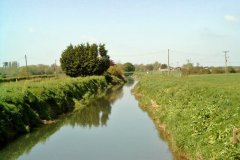 12.-Looking-Upstream-from-Rice-Farm-Bridge