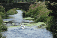 18.-Stileway-Bridge-Downstream-Face