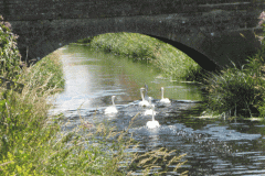 19.-Stileway-Bridge-Downstream-Face