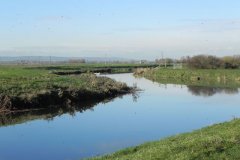 13.-Downstream-from-Langport-Rail-Bridge