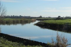 16.-Downstream-from-Langport-Rail-Bridge