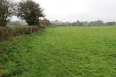 1.-Canal-line-near-Harpford-Farm