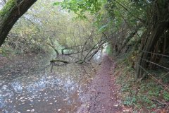 14.-Canal-bed-at-foot-of-Winsbeer-Canal-lift-4