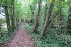 15.-Canal-bed-leading-to-Nynehead-lift-3