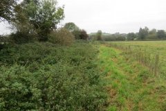3.-Canal-line-near-Harpford-Farm