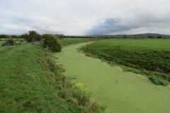 7.-Downstream-from-Pinhay-Rail-Bridge-11
