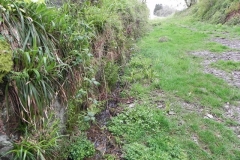 1. Flowing down the incline