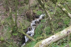 10. Flowing down the incline