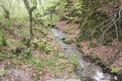 12. Flowing down the incline