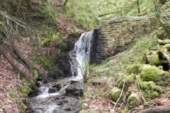 14. Flowing down the incline