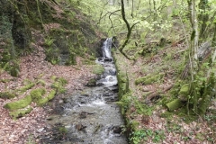 16. Flowing down the incline